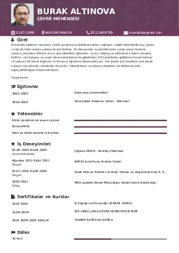 cv indir